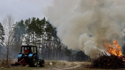 Пожежі в лісі