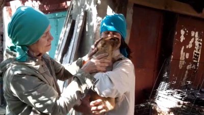 Живий, здоровий: стало відомо, як харківський бабак Тимко пережив окупацію Живий, здоровий: стало відомо, як харківський бабак Тимко пережив окупацію