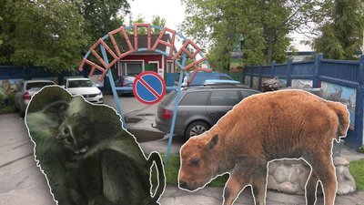 Дві мавпочки та бізон: у Менському зоопарку поповнення