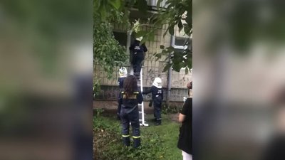 Місяць у квартирному полоні. У Франківську врятували кішку, у якої померла власниця Місяць у квартирному полоні. У Франківську врятували кішку, у якої померла власниця