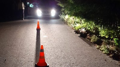 На Львівщині двоє восьмирічних дітей випали з підводи на швидкості: батько кермував нетверезим