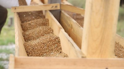 Лісівники Херсонщини вирішили нагодувати тварин заповідника "Асканія-Нова" Лісівники Херсонщини вирішили нагодувати тварин заповідника "Асканія-Нова"