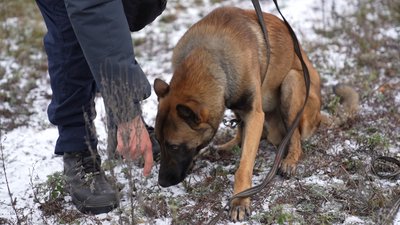 "20 км прикордоння лишається нашою болючою зоною" – як на Сумщині проводять мінно-пошукові роботи "20 км прикордоння лишається нашою болючою зоною" – як на Сумщині проводять мінно-пошукові роботи
