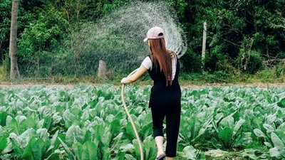 Рекордні об'єми води – на городи: у лучан можуть бути перебої з водопостачанням