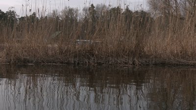 На Черкащині підвищується рівень води в Дніпрі На Черкащині підвищується рівень води в Дніпрі