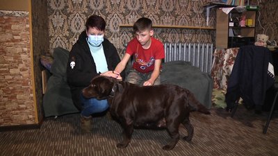 Мешканці двох гуртожитків у селищі на Житомирщині платять за електрику за комерційним тарифом