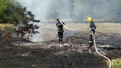 За добу на Херсонщині 30 разів горіло в екосистемах За добу на Херсонщині 30 разів горіло в екосистемах