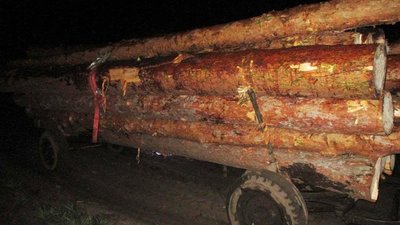 На Рівненщині побили лісівника, який хотів завадити незаконній порубці На Рівненщині побили лісівника, який хотів завадити незаконній порубці