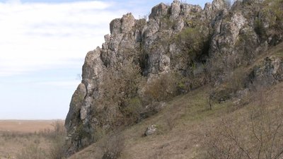 На місці Сарматського моря, понад 10 мільйонів років тому, утворився Товтровий кряж
