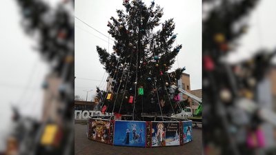 Можна порівняти: які ялинки встановили у містах на Рівненщині Можна порівняти: які ялинки встановили у містах на Рівненщині