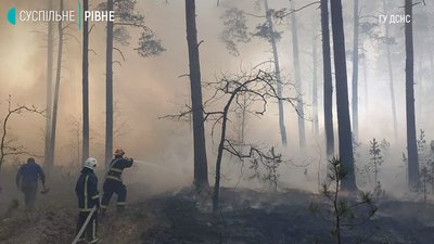 Пожежі в екосистемах Пожежі в екосистемах