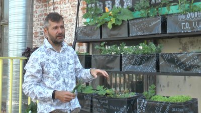 Від сучасного мистецтва до екології. У Франківську 7 проєктів отримали ґрантову підтримку Від сучасного мистецтва до екології. У Франківську 7 проєктів отримали ґрантову підтримку