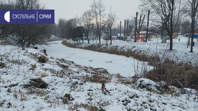 Декоративні дерева, які мали висадити в парку "Казка" у грудні, садитимуть у 2022: чому не встигли Декоративні дерева, які мали висадити в парку "Казка" у грудні, садитимуть у 2022: чому не встигли