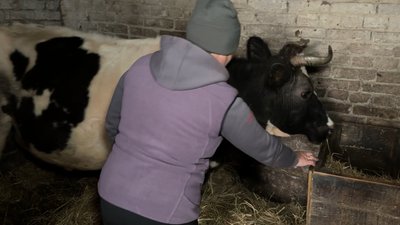 "Нам немає коли скучати, бо ми в роботі": як чотири волинські сім'ї живуть на хуторі "Нам немає коли скучати, бо ми в роботі": як чотири волинські сім'ї живуть на хуторі