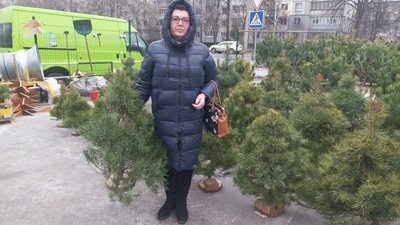 Новорічна ялинка в Полтаві: де купити Новорічна ялинка в Полтаві: де купити