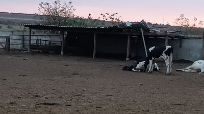 Свист ракет, зруйновані будинки та вбиті тварини. Жителі Херсонщини про чергові атаки РФ Свист ракет, зруйновані будинки та вбиті тварини. Жителі Херсонщини про чергові атаки РФ