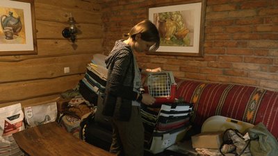 "Із автобуса дружно кричали коти" – харків'янка привезла до Черкас 70 тварин