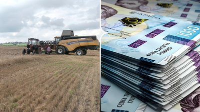 Які державні програми підтримки аграріїв діють на Рівненщині