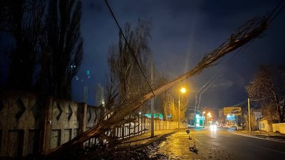 Знеструмлені населені пункти та повалені дерева: наслідки негоди на Полтавщині Знеструмлені населені пункти та повалені дерева: наслідки негоди на Полтавщині
