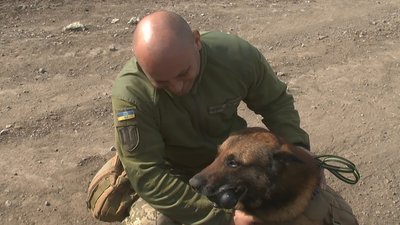 На фото кінолог Андрій та малінуа Хард.
