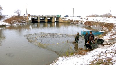 Ставок у селі Токарівка Жмеринського району на Вінниччині/Суспільне Вінниця Ставок у селі Токарівка Жмеринського району на Вінниччині/Суспільне Вінниця