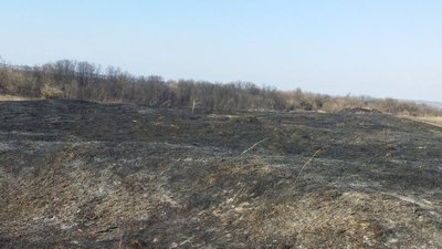 За добу на Сумщині сталося 9 пожеж в екосистемах За добу на Сумщині сталося 9 пожеж в екосистемах