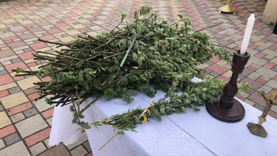 Вербна неділя в Ужгороді: богослужіння на вулиці, освячені вербові гілки та родинні традиції