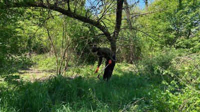 В Ужгороді провели гастрономічну толоку в Боздоському парку В Ужгороді провели гастрономічну толоку в Боздоському парку