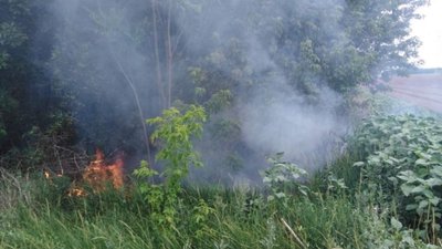 На Херсонщині за добу 11 разів горіли сухостій та очерет На Херсонщині за добу 11 разів горіли сухостій та очерет