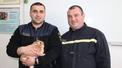У Харкові пожежники врятували кроленя, яке покинули у квартирі