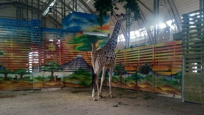 Миколаївський зоопарк відзначає ювілей: 120 років від дня відкриття Миколаївський зоопарк відзначає ювілей: 120 років від дня відкриття