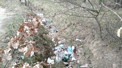 У Глибочицький громаді на Житомирщині оголосили про початок весняної толоки У Глибочицький громаді на Житомирщині оголосили про початок весняної толоки