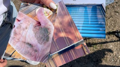 Пил та тирса на її подвір’ї: жителька Миколаївщини скаржиться на приватне підприємство по сусідству Пил та тирса на її подвір’ї: жителька Миколаївщини скаржиться на приватне підприємство по сусідству