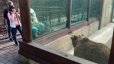 У Луцькому зоопарку відновили екскурсії У Луцькому зоопарку відновили екскурсії