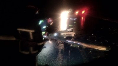 У селі на Івано-Франківщині вітер повалив на дорогу сім дерев