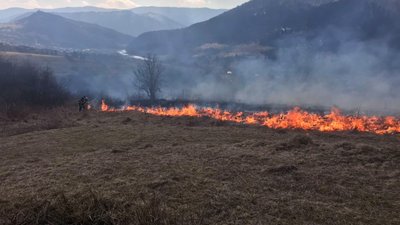 За спалювання трави двоє закарпатців заплатять штраф у понад 6 тисяч За спалювання трави двоє закарпатців заплатять штраф у понад 6 тисяч