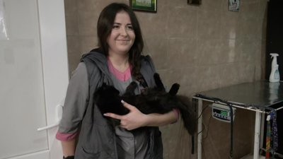 Як у луцькій "Ласці" стерилізують і вакцинують тварин