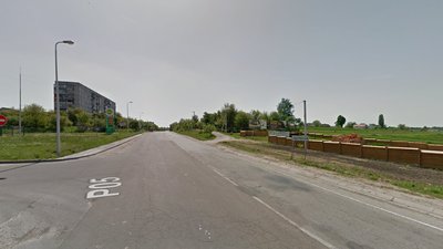 Рівненщина: невідомі в масках напали на чоловіка, коли той гуляв з собаками
