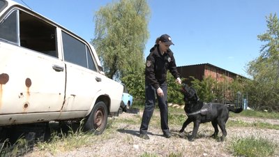 Запорізький пес-полійцейський допомагає виявляти боєприпаси Запорізький пес-полійцейський допомагає виявляти боєприпаси