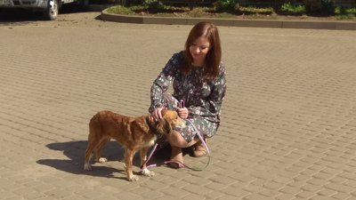 Результат конкурсу у ЛКП "Лев": хто керуватиме підприємством Результат конкурсу у ЛКП "Лев": хто керуватиме підприємством