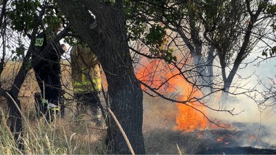 Пожежі охоплюють Миколаївщину Пожежі охоплюють Миколаївщину
