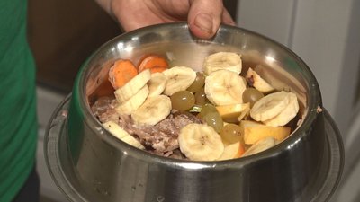 Посилений режим харчування: як взимку годують тварин у черкаському зоопарку Посилений режим харчування: як взимку годують тварин у черкаському зоопарку