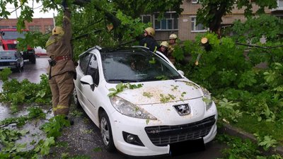 Негода у Сумах: дощ, шквали вітру та повалені дерева (фото)