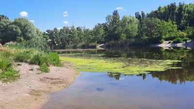 У Кропивницькому перевірили воду на наявність збудника холери на річці Інгул. Результат – холерна бактерія відсутня У Кропивницькому перевірили воду на наявність збудника холери на річці Інгул. Результат – холерна бактерія відсутня