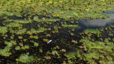 Фотограф з Черкас переміг у конкурсі "Вікі любить Землю"