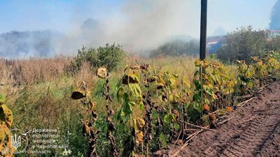 Падіння російського БпЛА завдало шкоди довкіллю на понад 230 мільйонів гривень 