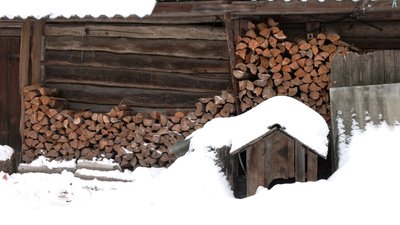 Безкоштовних дров на зиму потребують понад сім тисяч домогосподарств на прикордонні Чернігівщини: хто допомагатиме