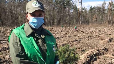 Попільнянські лісівники на Житомирщині долучилися до всеукраїнської акції "Створюємо ліси разом" Попільнянські лісівники на Житомирщині долучилися до всеукраїнської акції "Створюємо ліси разом"
