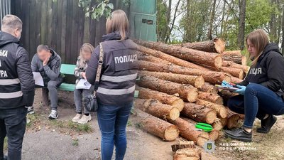 Вирубка лісу на Чернігівщині: трьом чорним лісорубам повідомили про підозру