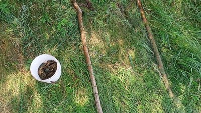 Раки, які наловили волочком чоловіки